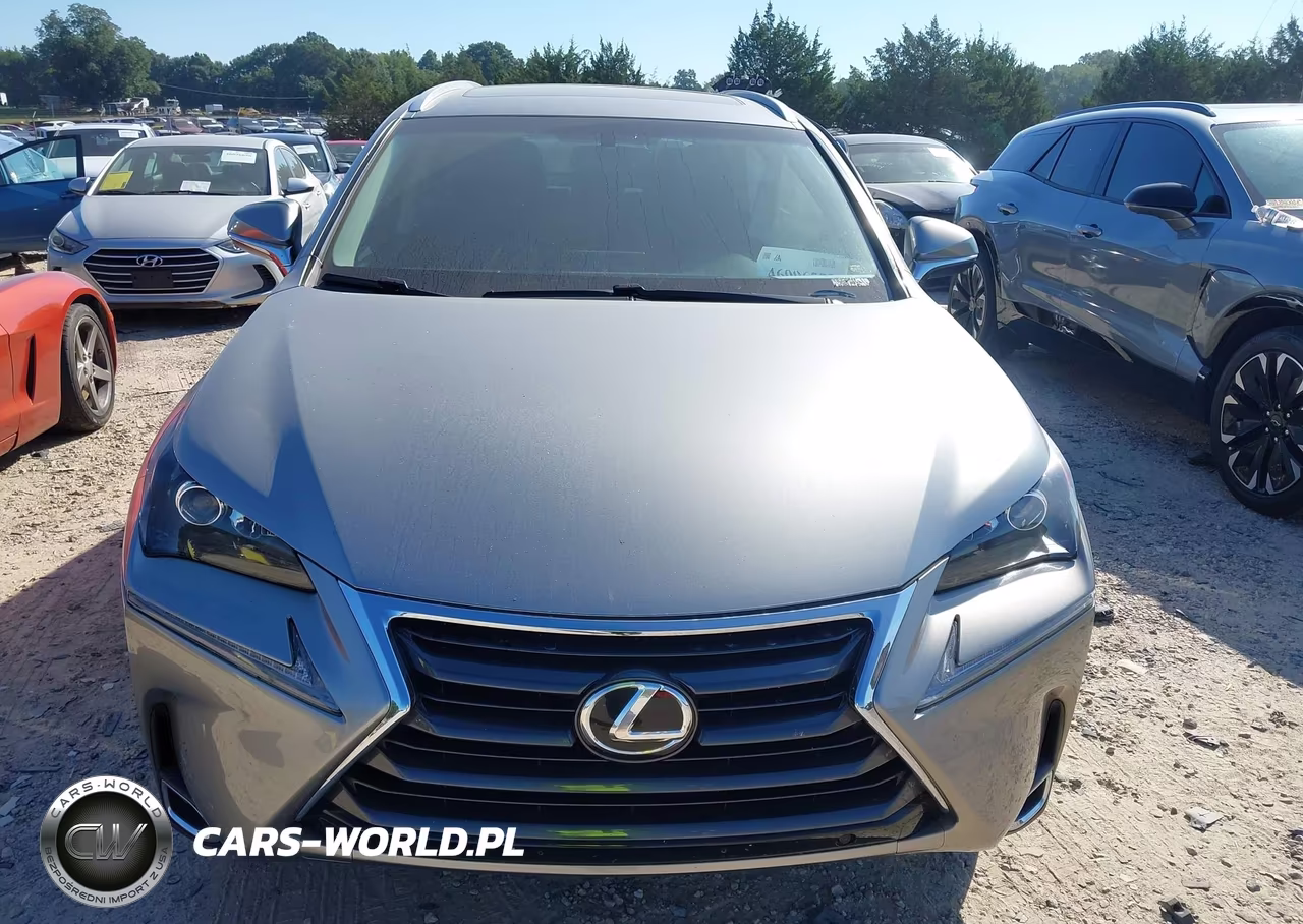 2016 Lexus Nx 200T VIN:JTJBARBZ0G2093734 - 12