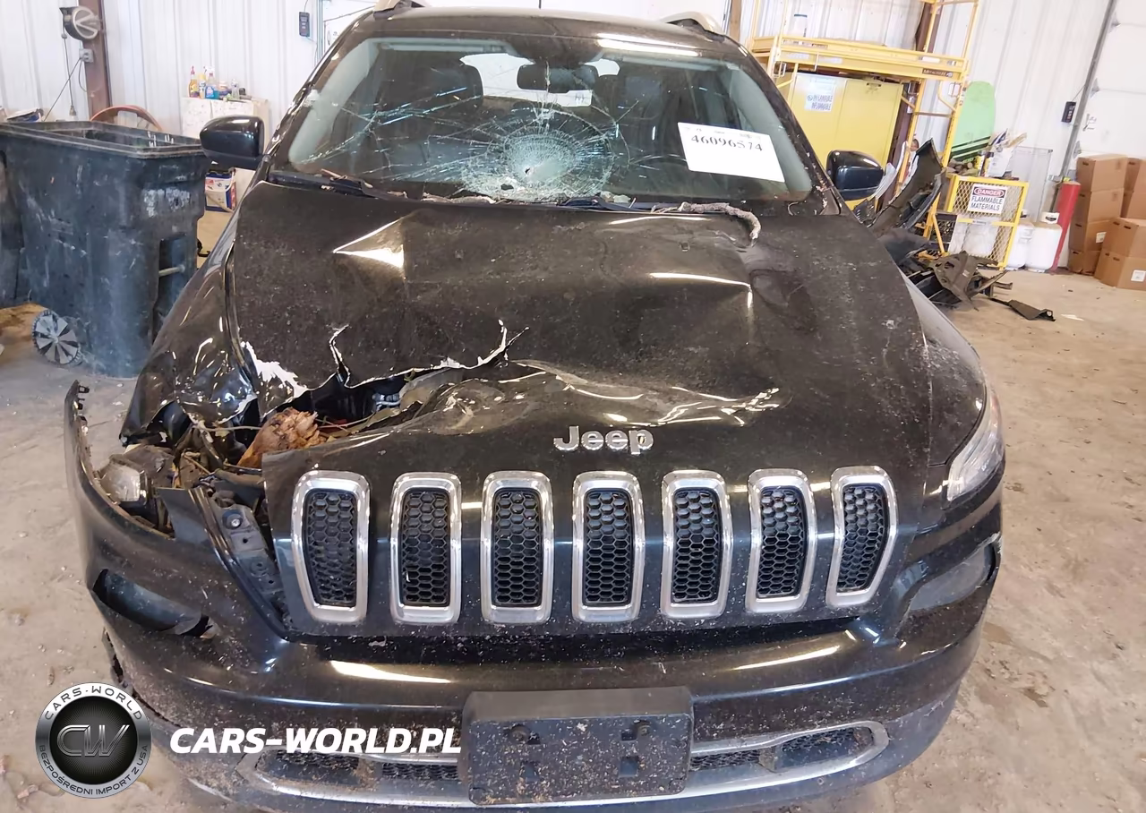 2016 Jeep Cherokee Limited VIN:1C4PJLDB1GW157830 - 12