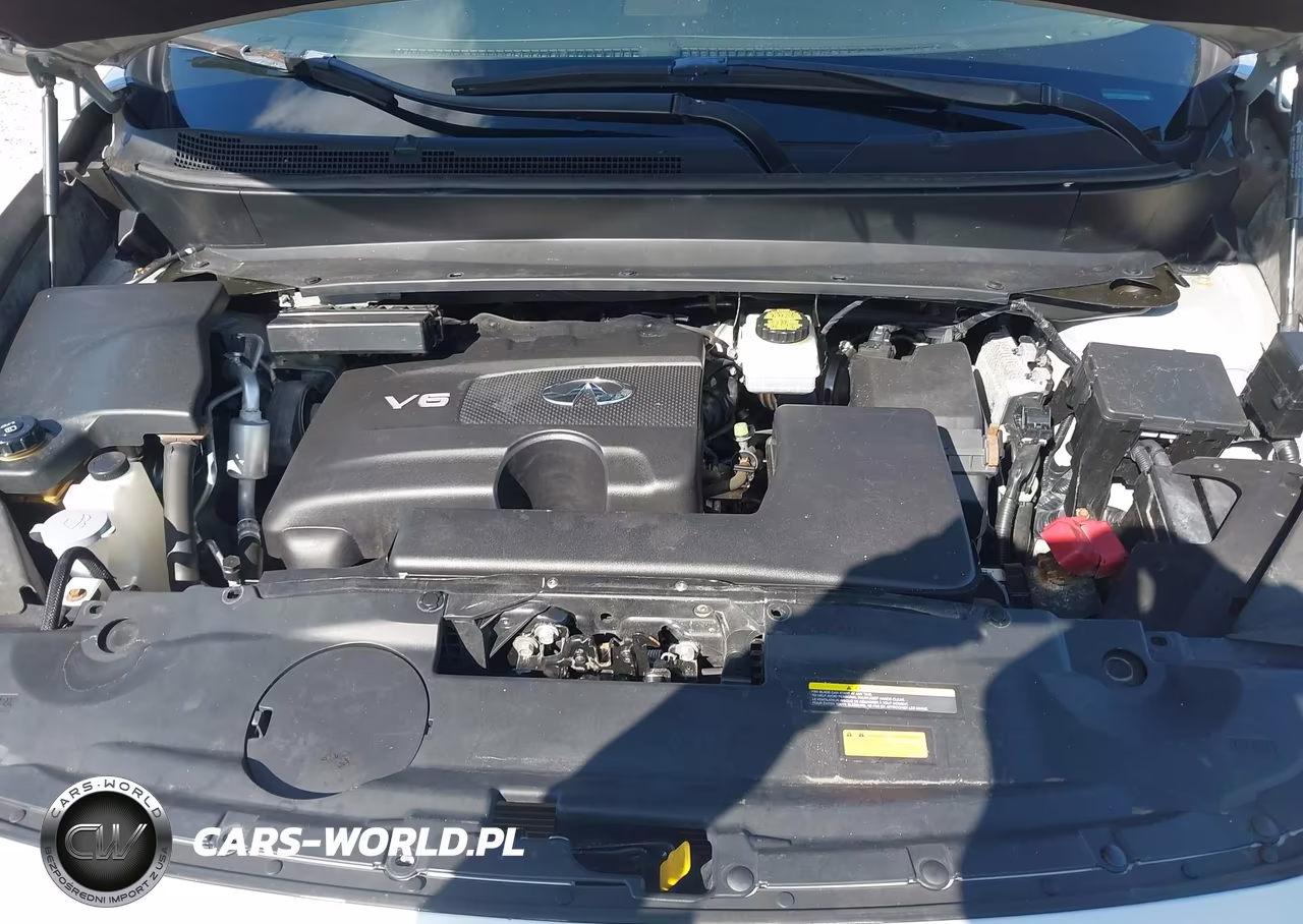 2019 Infiniti Qx60 Luxe VIN:5N1DL0MM7KC513183 - 10