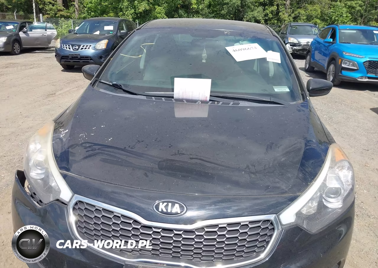 2016 Kia Forte Lx VIN:KNAFK4A69G5521016 - 10