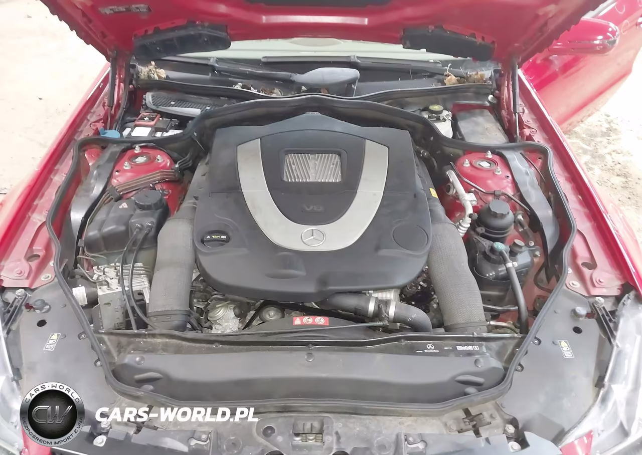 2009 Mercedes-Benz Sl 550 VIN:WDBSK71F39F146139 - 10