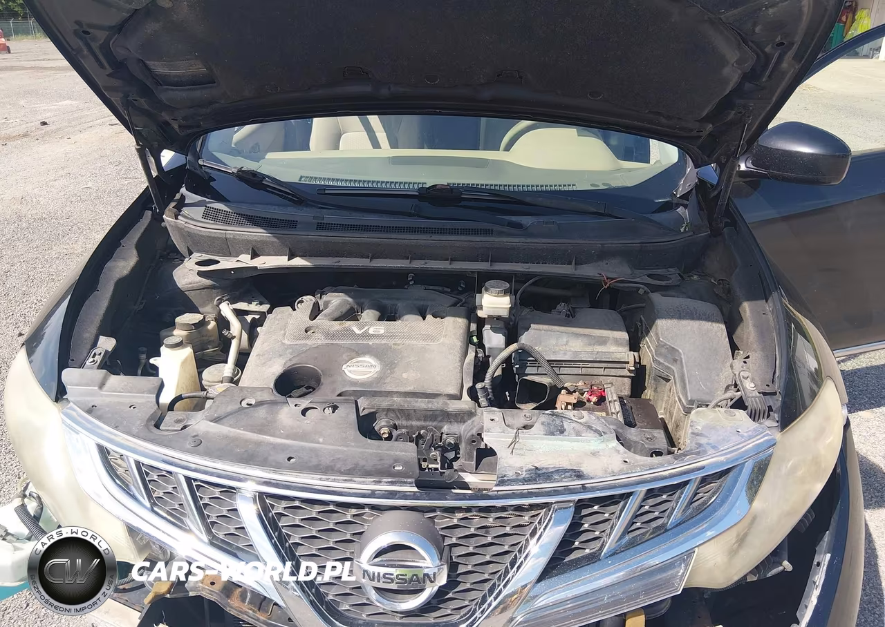 2013 Nissan Murano S VIN:JN8AZ1MW3DW303392 - 10