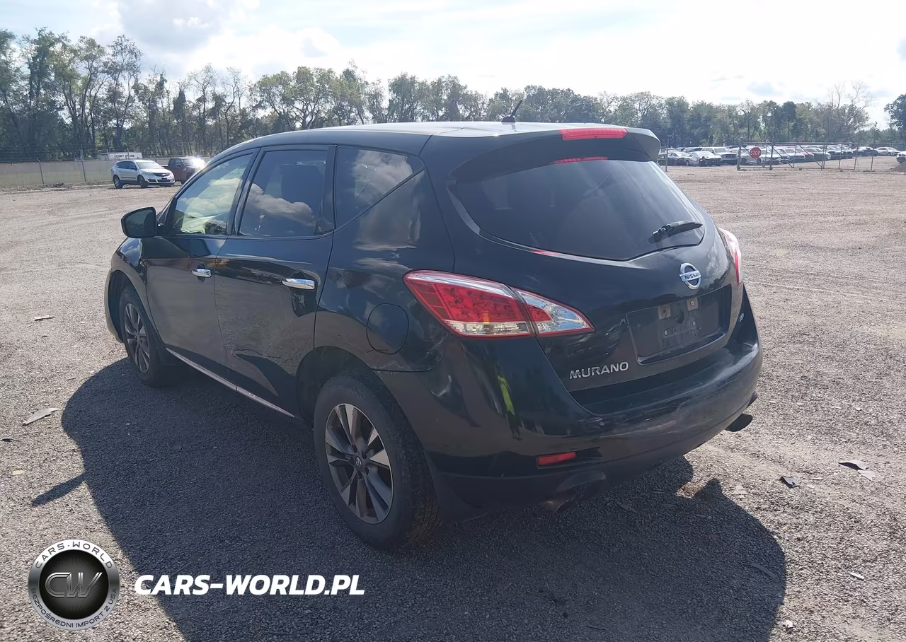 2013 Nissan Murano S VIN:JN8AZ1MW3DW303392 - 3