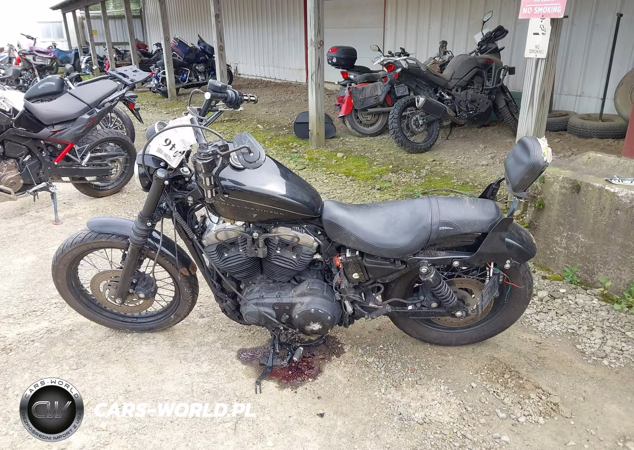 2009 Harley-Davidson Xl1200 N VIN:1HD1CZ3159K412337 - 12
