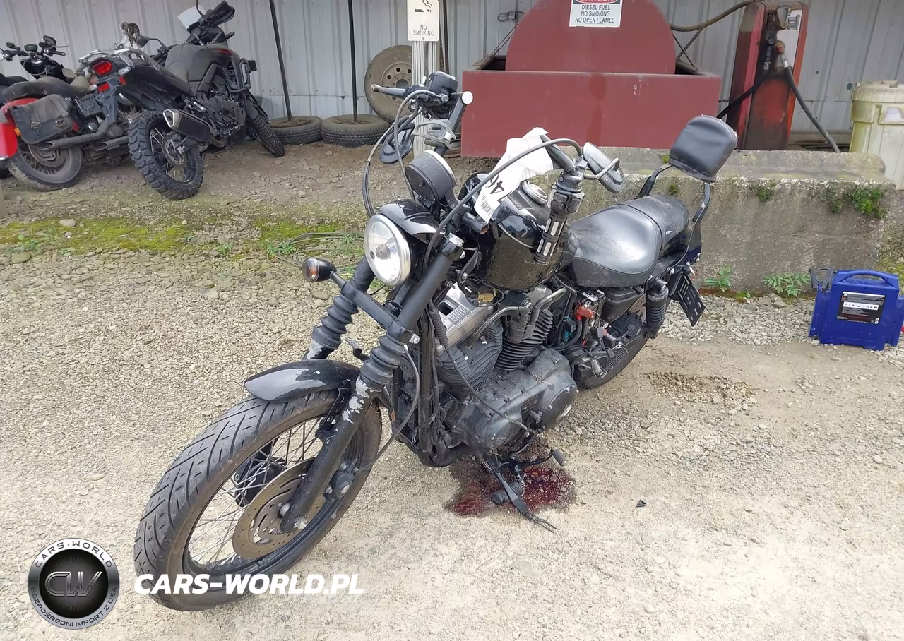 2009 Harley-Davidson Xl1200 N VIN:1HD1CZ3159K412337 - 2