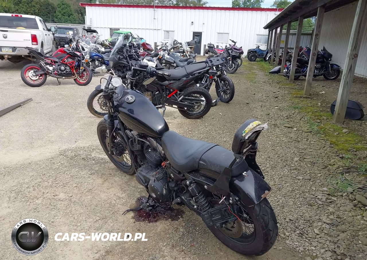 2009 Harley-Davidson Xl1200 N VIN:1HD1CZ3159K412337 - 3