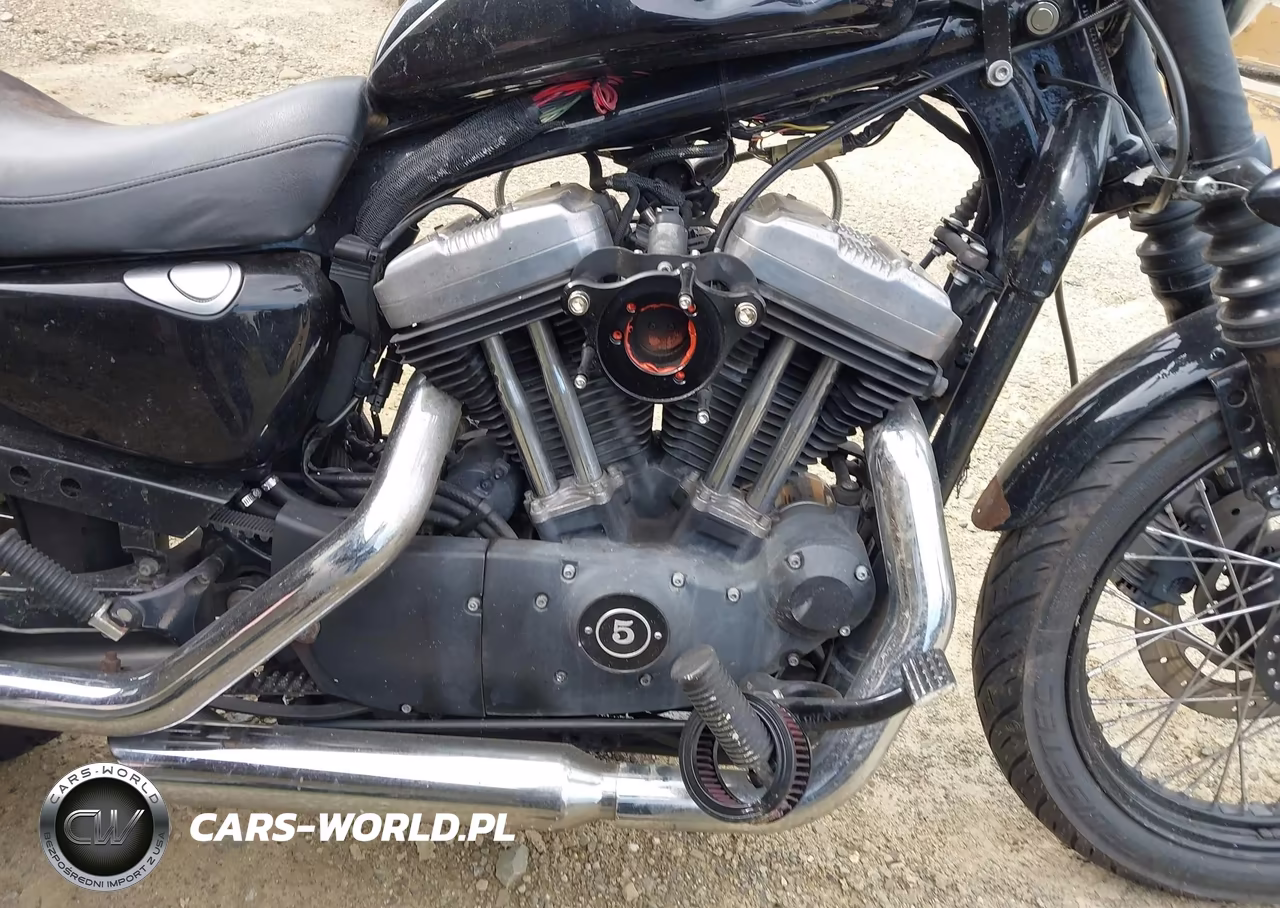2009 Harley-Davidson Xl1200 N VIN:1HD1CZ3159K412337 - 8