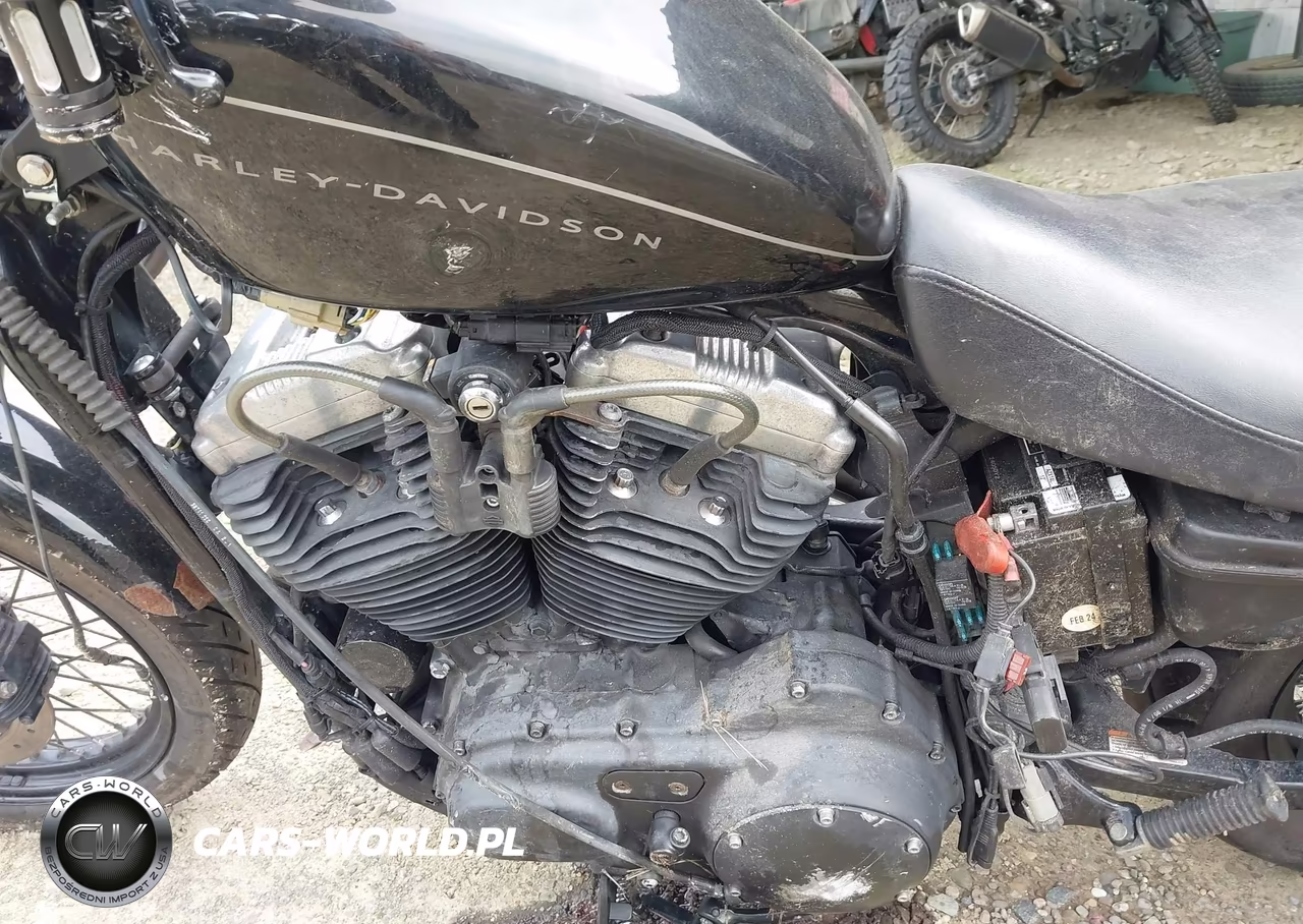 2009 Harley-Davidson Xl1200 N VIN:1HD1CZ3159K412337 - 9