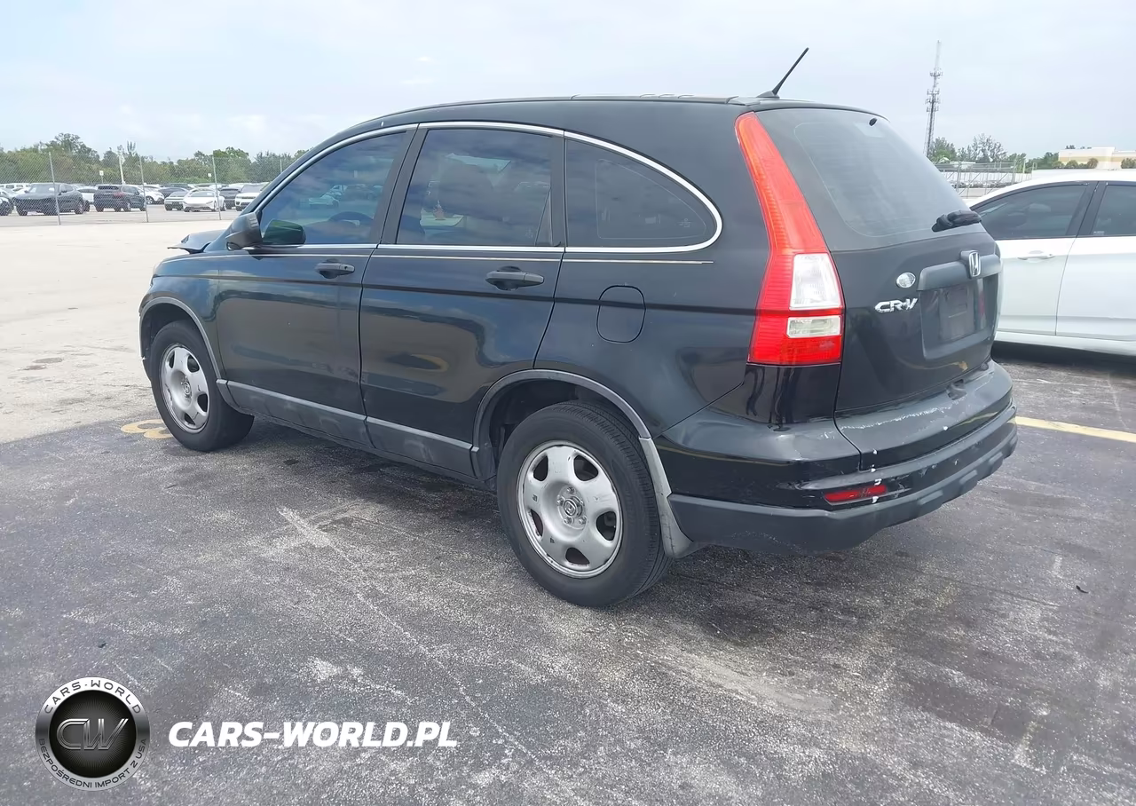 2010 Honda Cr-V Lx VIN:5J6RE3H31AL020440 - 3