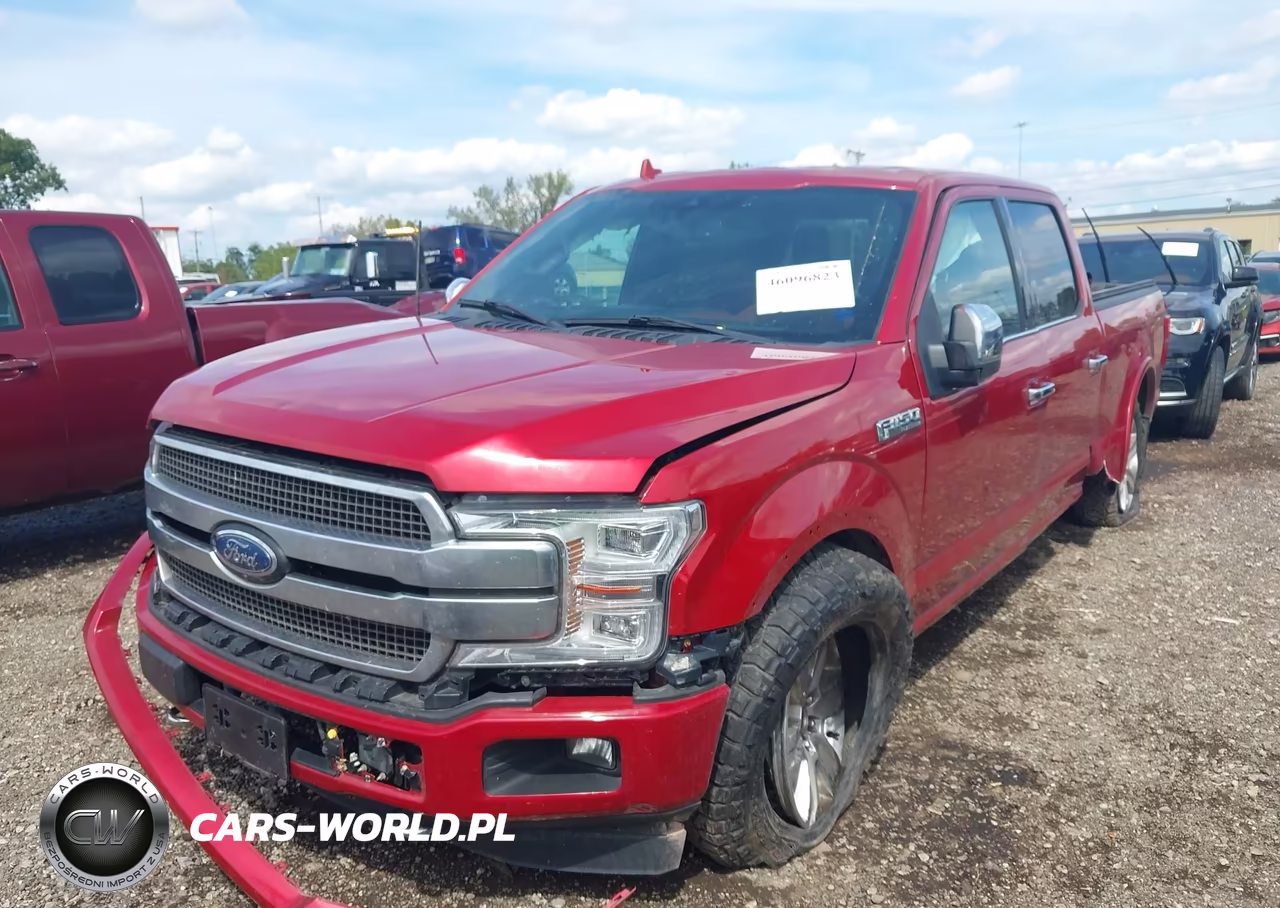 2020 Ford F-150 Platinum VIN:1FTFW1E58LFB58672 - 13