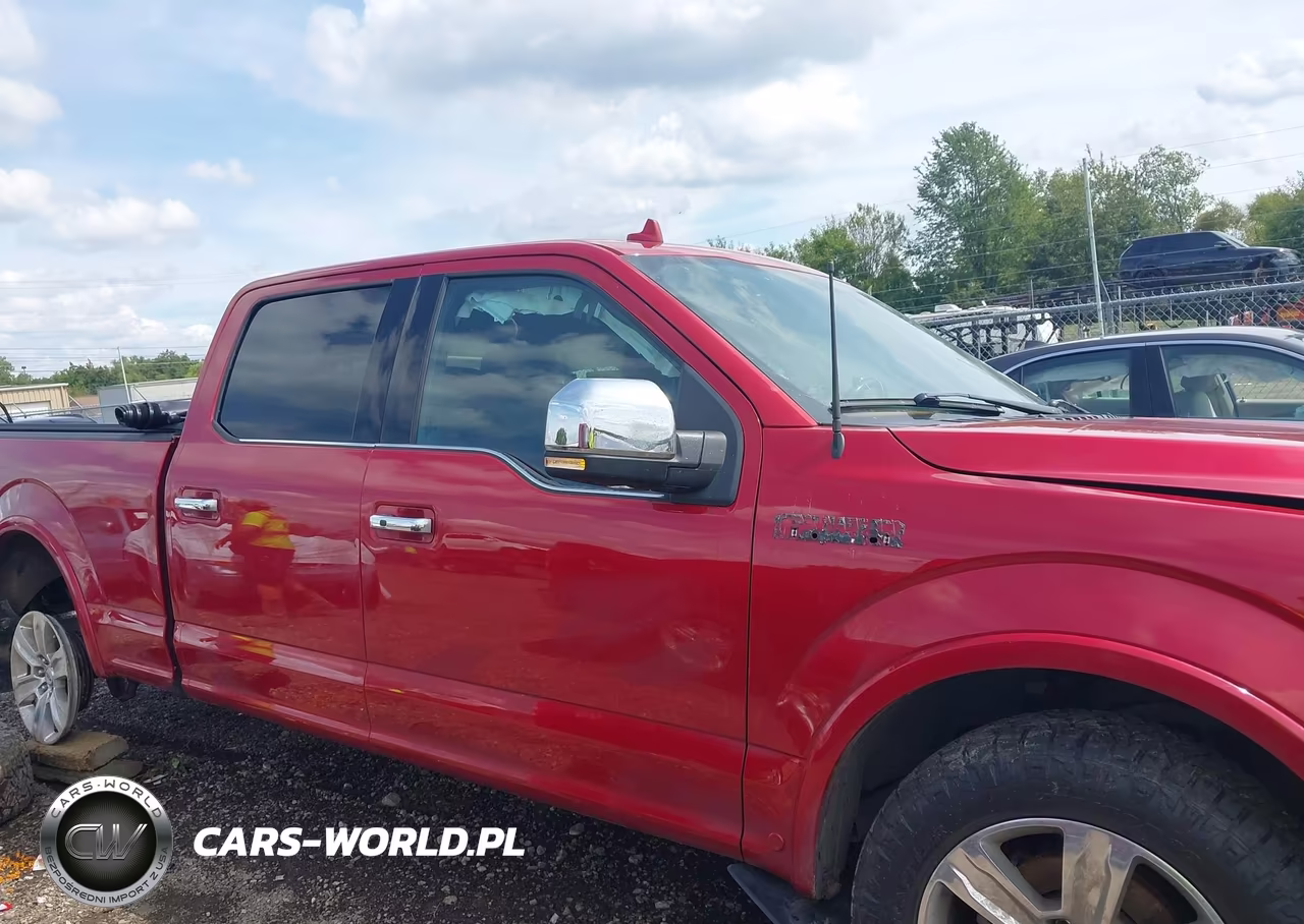 2020 Ford F-150 Platinum VIN:1FTFW1E58LFB58672 - 14