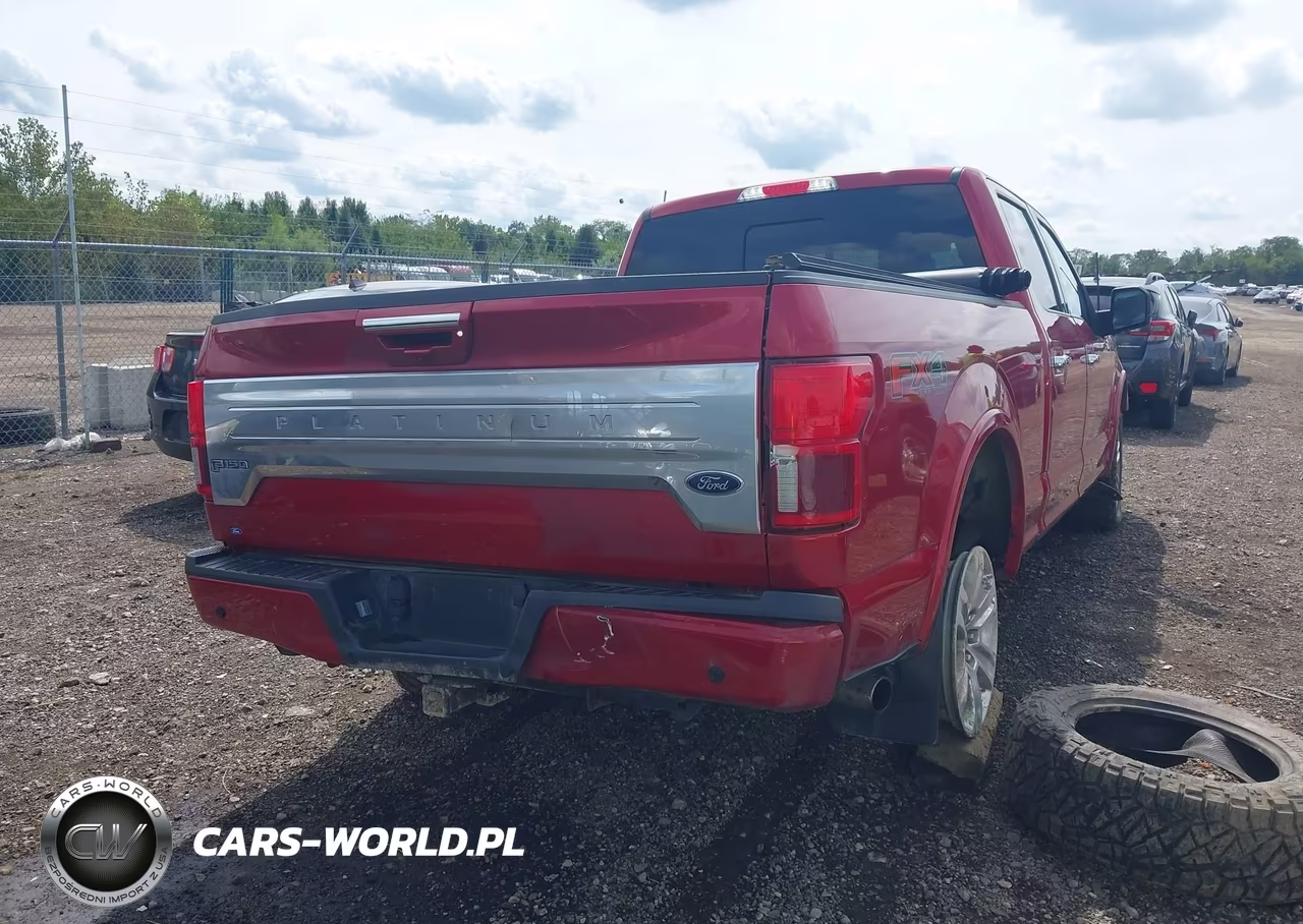 2020 Ford F-150 Platinum VIN:1FTFW1E58LFB58672 - 17