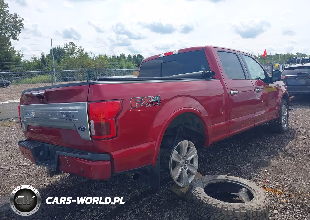 2020 Ford F-150 Platinum VIN:1FTFW1E58LFB58672 - 4