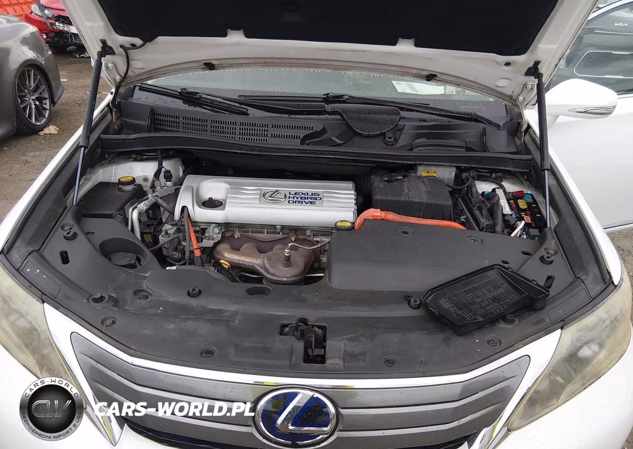 2010 Lexus Hs 250H VIN:JTHBB1BA0A2012104 - 10