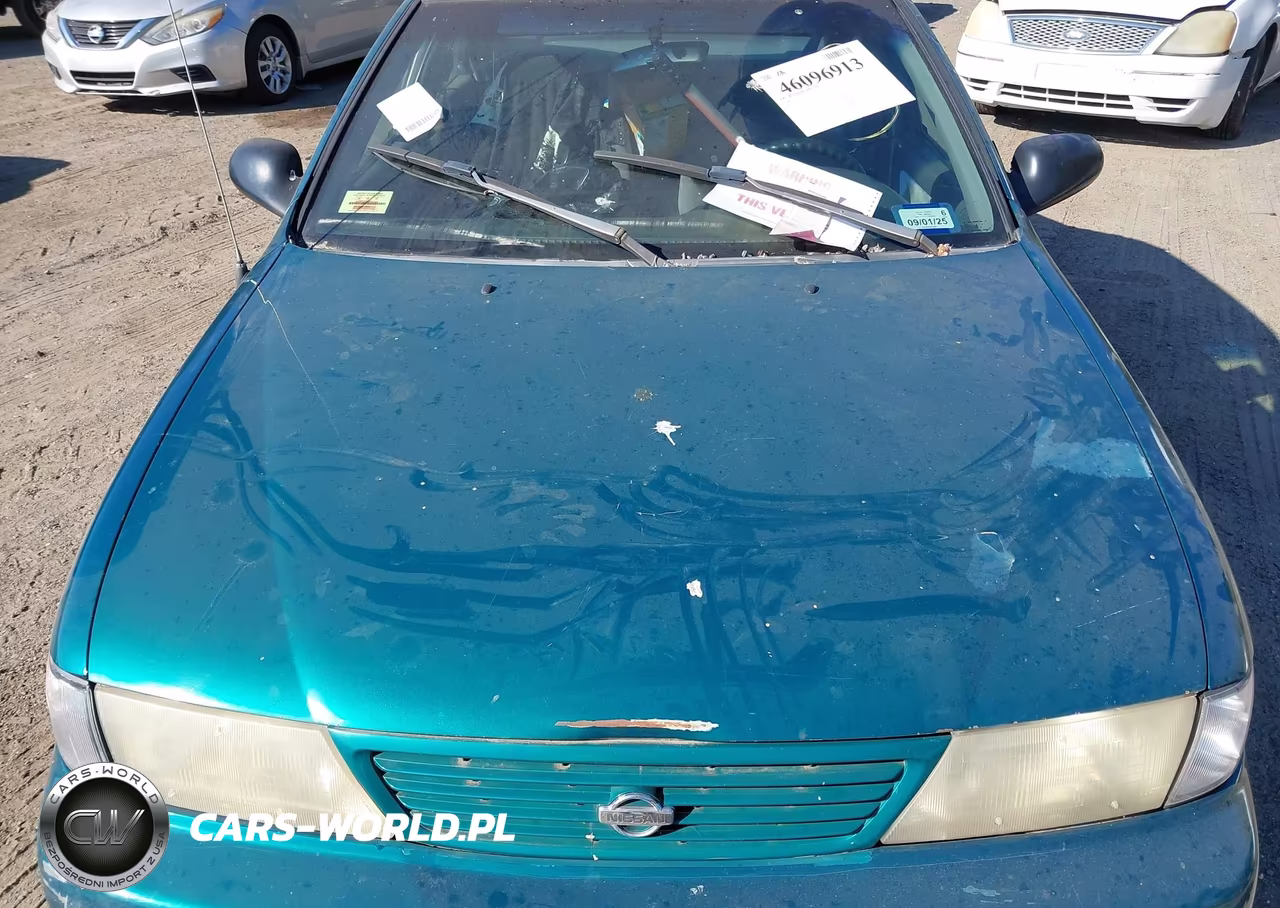 1995 Nissan Sentra Xe-Gxe-Gle VIN:3N1AB41D9SL003804 - 10