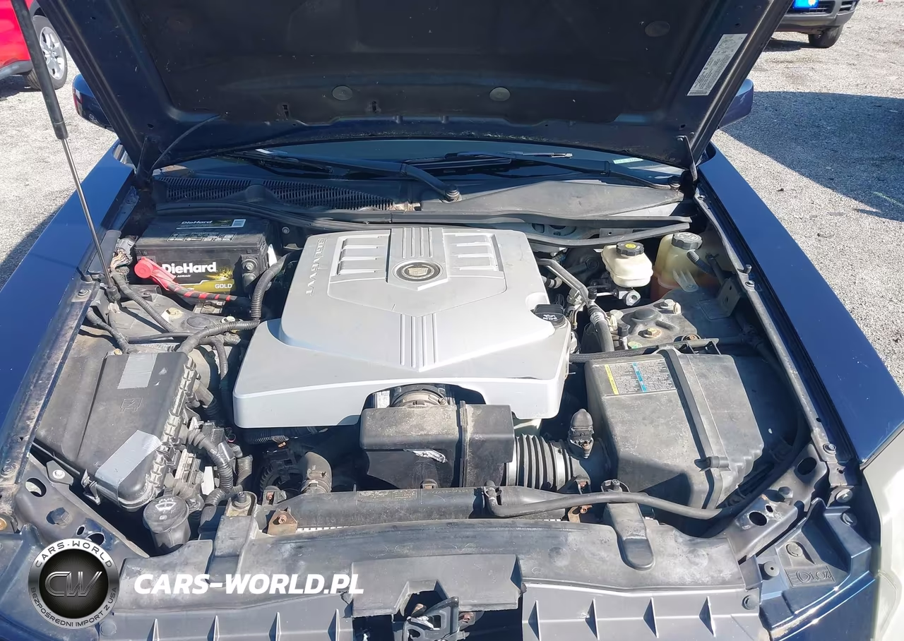 2005 Cadillac Cts Standard VIN:1G6DP567050221428 - 10