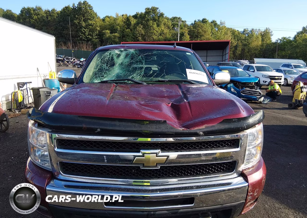 2009 Chevrolet Silverado 1500 Lt VIN:1GCEK29J69Z118957 - 12