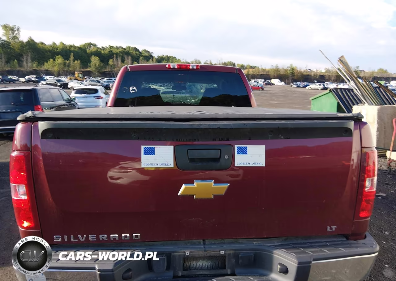2009 Chevrolet Silverado 1500 Lt VIN:1GCEK29J69Z118957 - 16