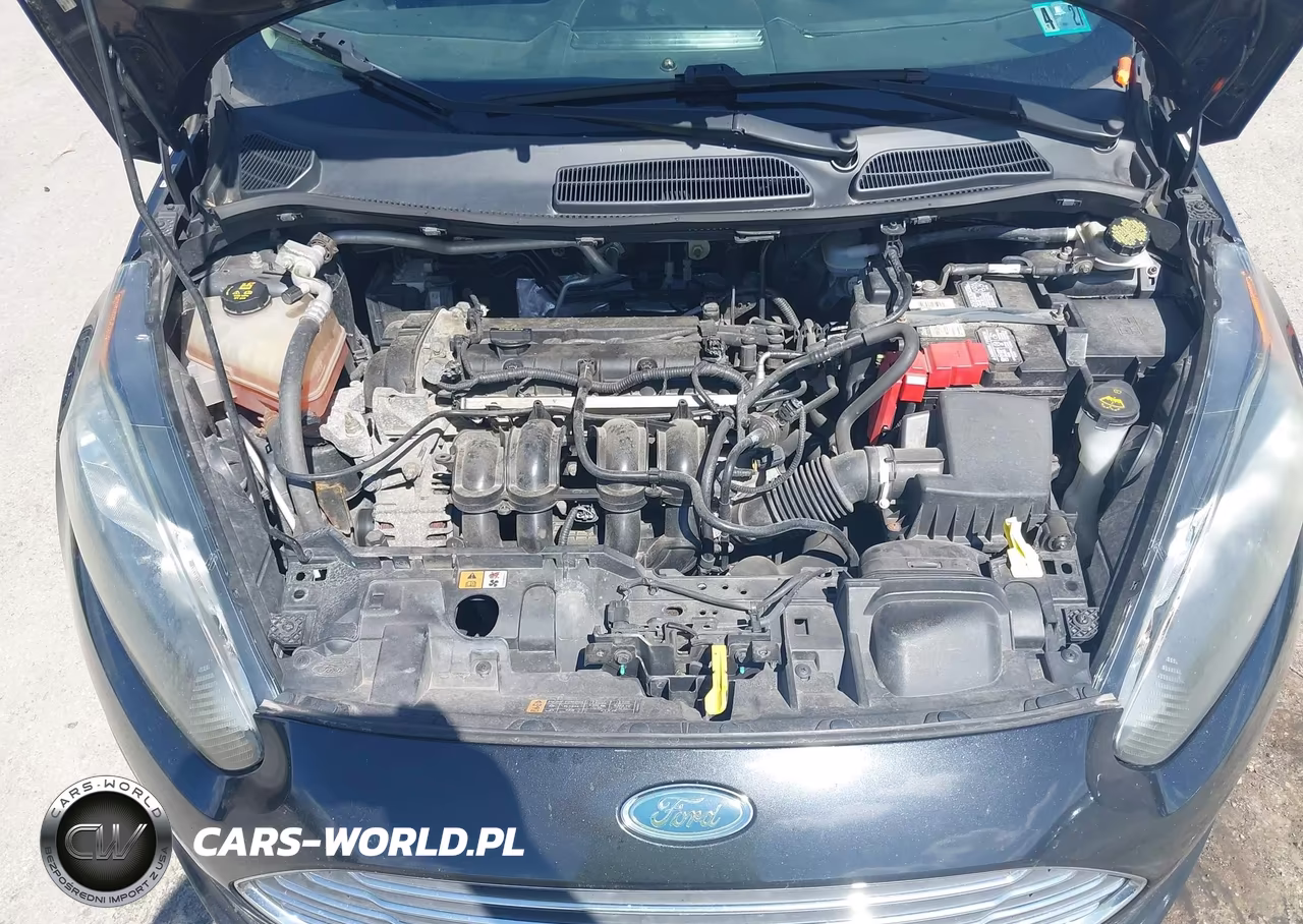 2014 Ford Fiesta Se VIN:3FADP4BJ6EM233644 - 10