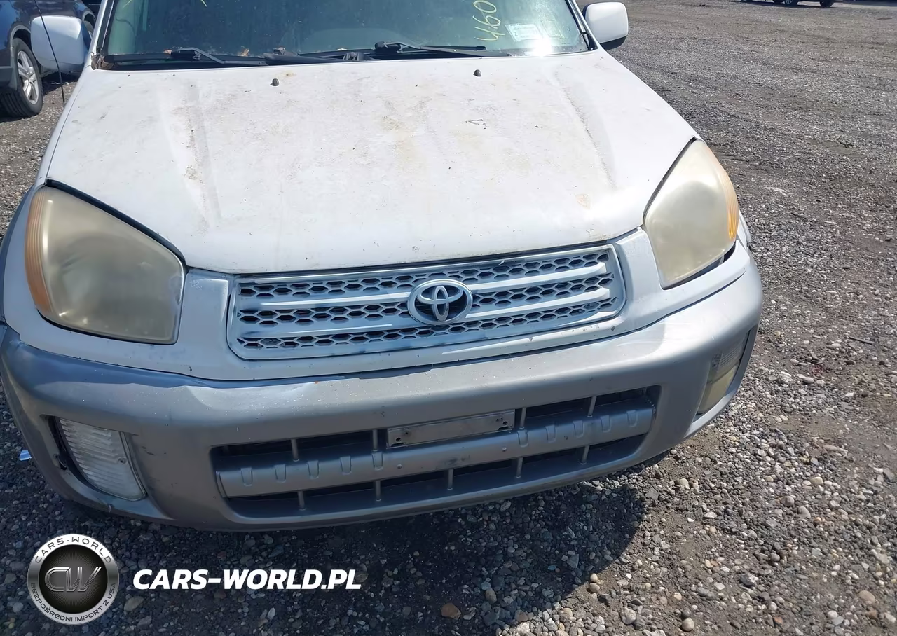 2001 Toyota Rav4 VIN:JTEHH20V910120301 - 6