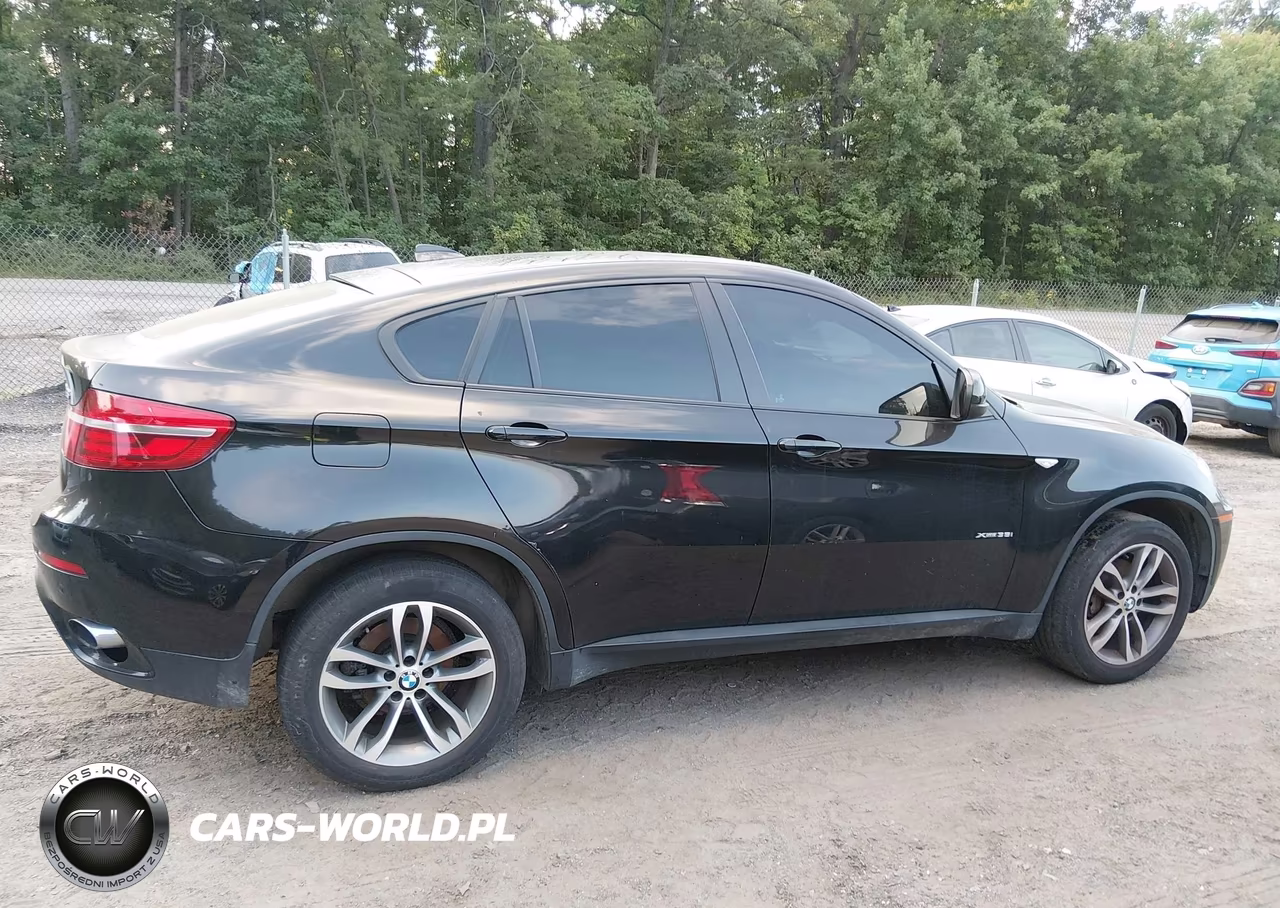 2014 BMW X6 xDrive35I VIN:5UXFG2C57E0H11115 - 12