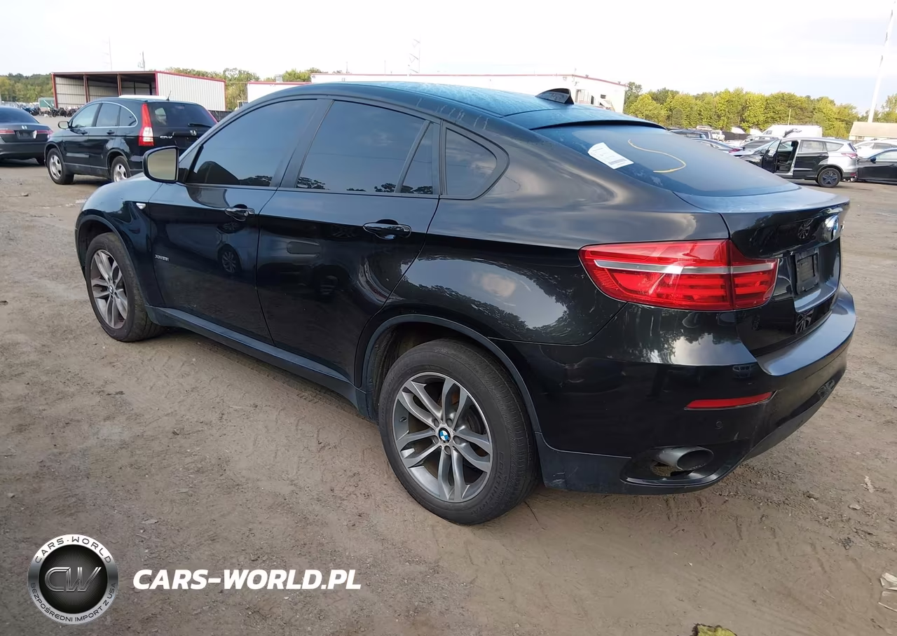 2014 BMW X6 xDrive35I VIN:5UXFG2C57E0H11115 - 3