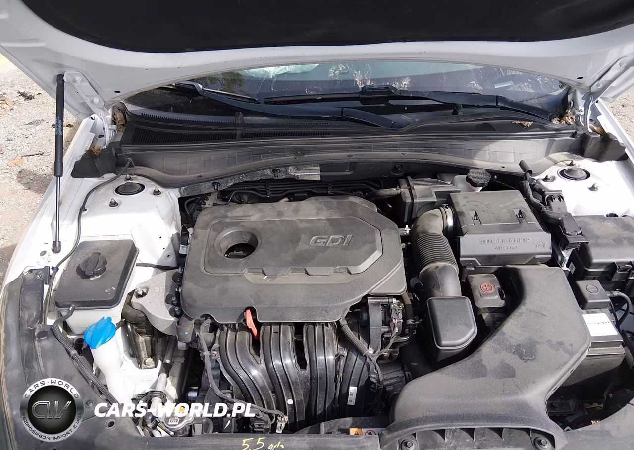 2020 Kia Optima Lx VIN:5XXGT4L34LG386119 - 10