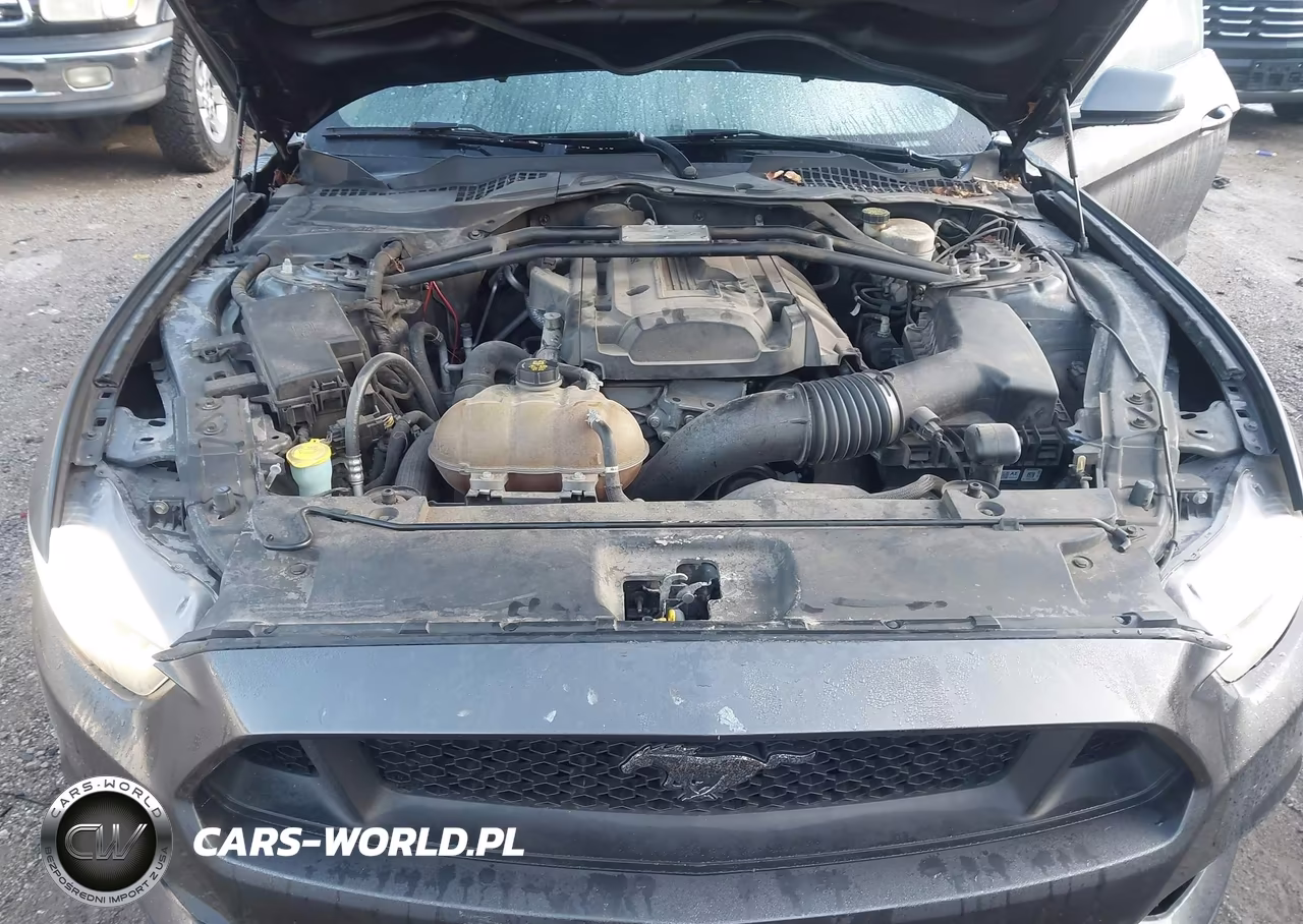 2015 Ford Mustang Ecoboost VIN:1FA6P8TH7F5382762 - 10