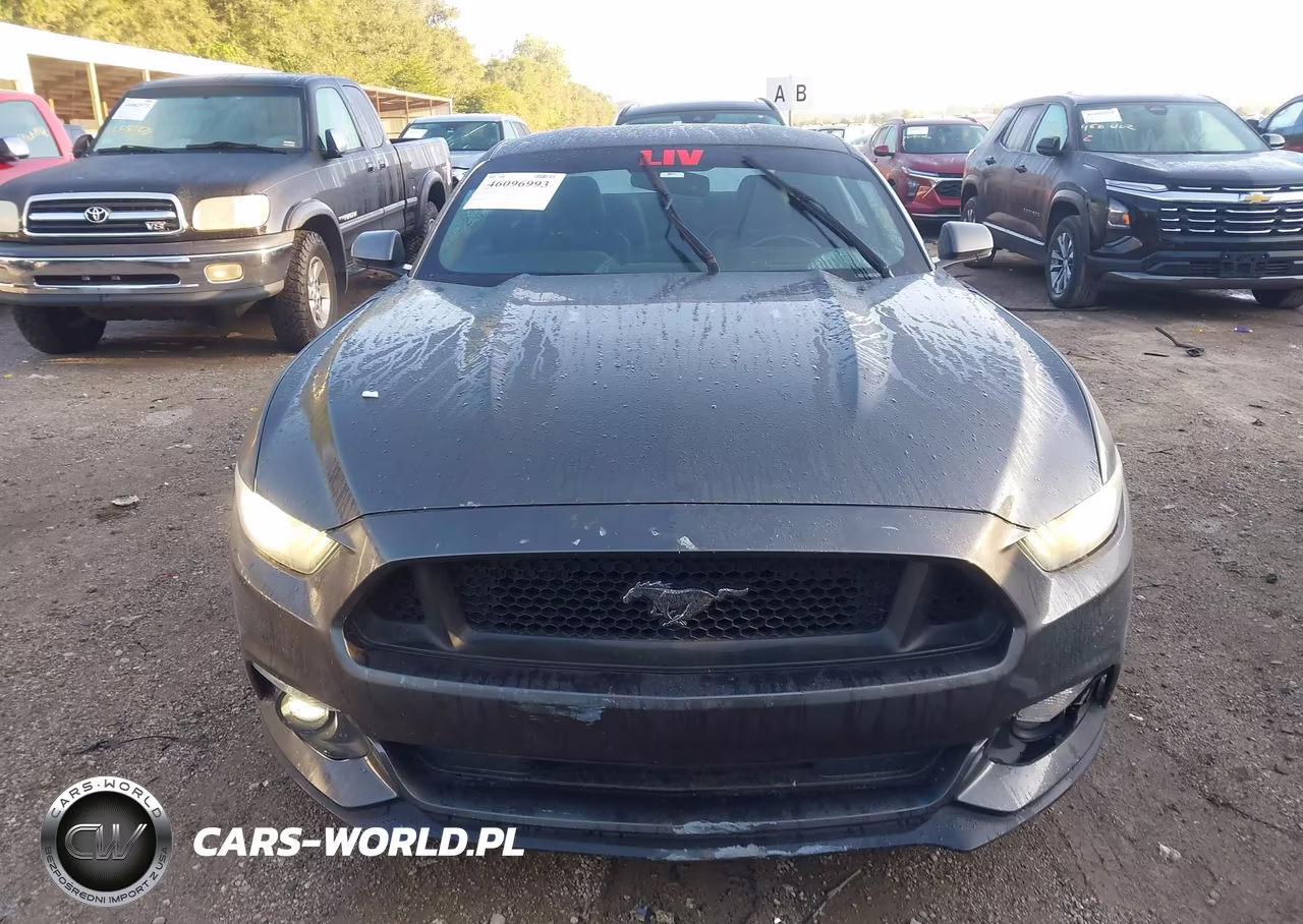 2015 Ford Mustang Ecoboost VIN:1FA6P8TH7F5382762 - 12