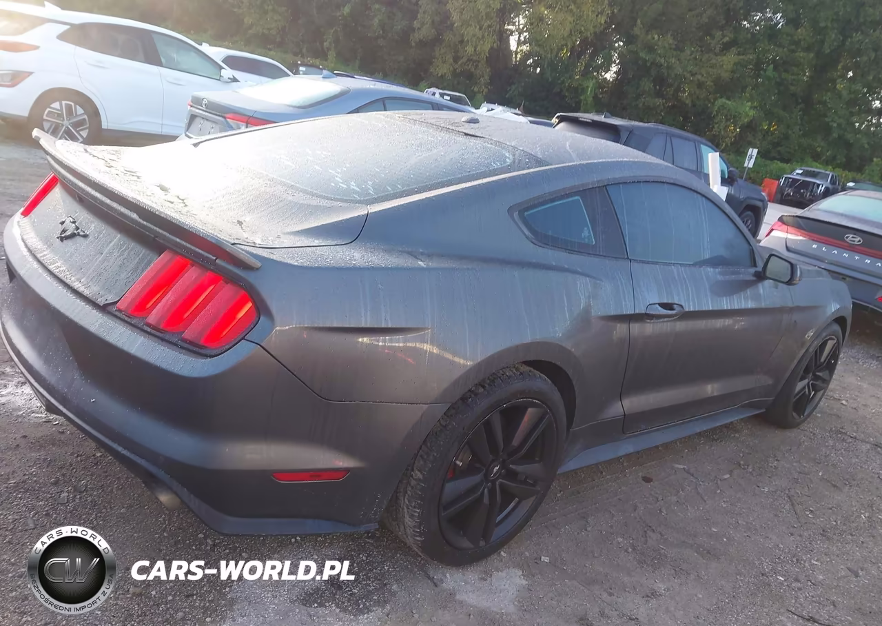 2015 Ford Mustang Ecoboost VIN:1FA6P8TH7F5382762 - 13
