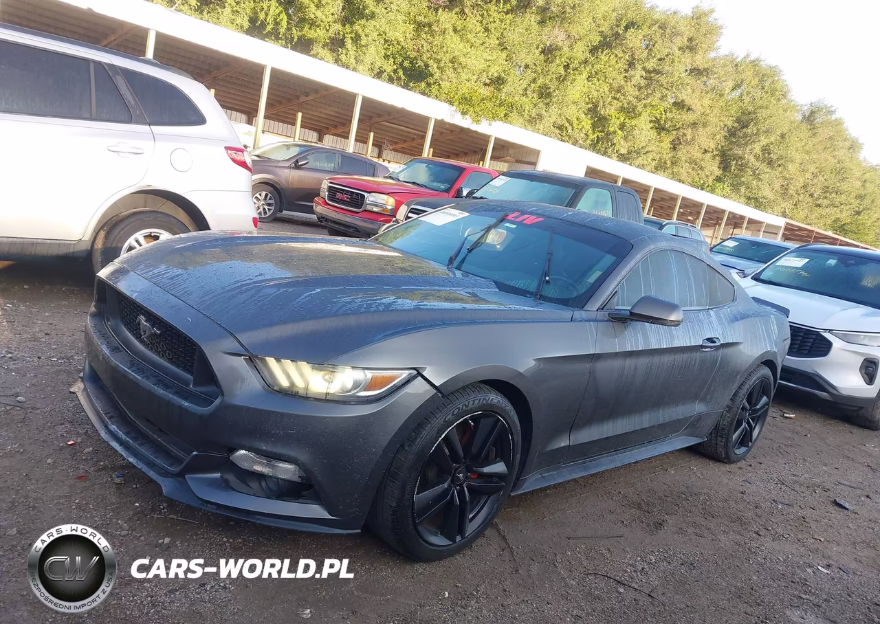 2015 Ford Mustang Ecoboost VIN:1FA6P8TH7F5382762 - 14