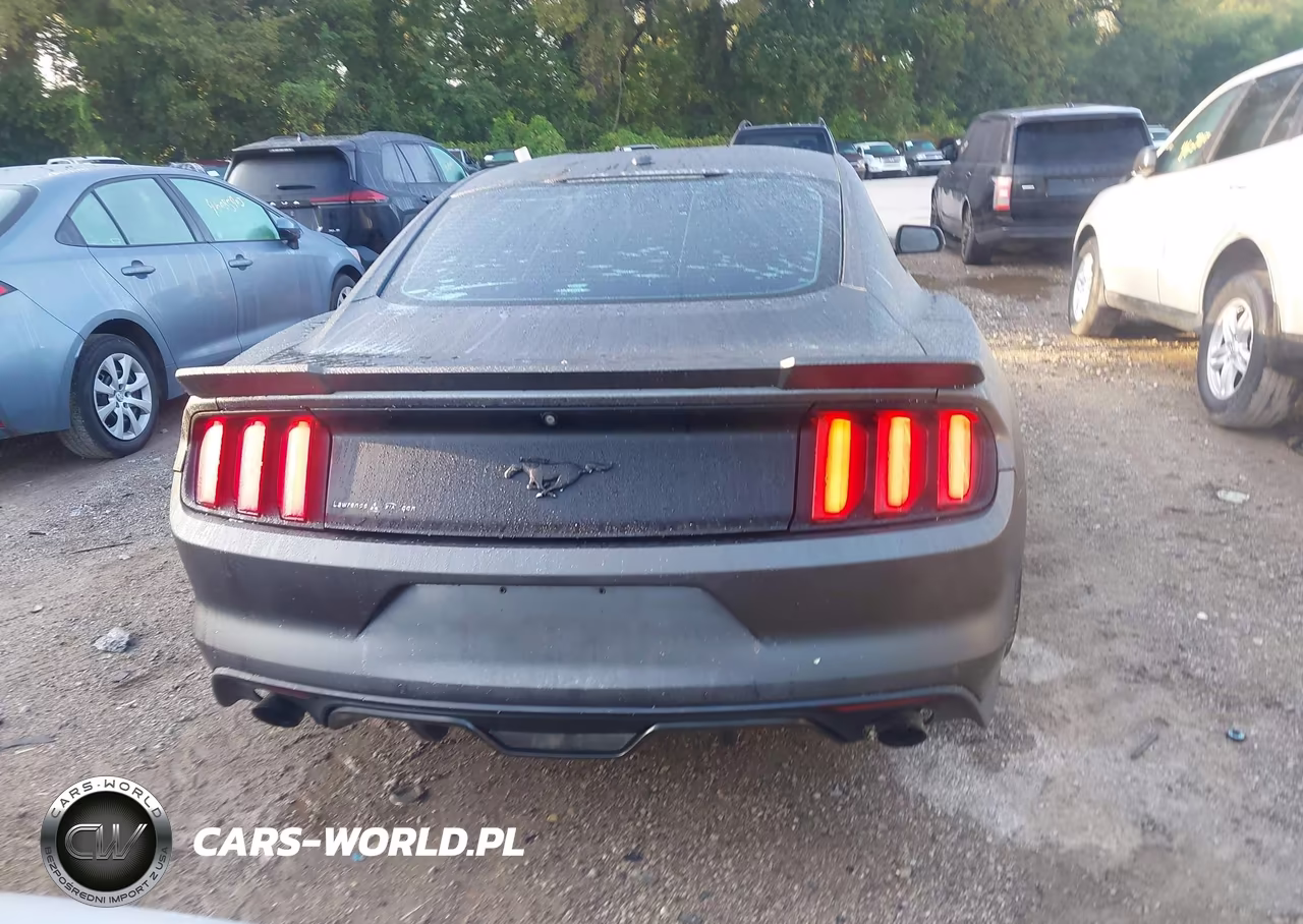 2015 Ford Mustang Ecoboost VIN:1FA6P8TH7F5382762 - 16