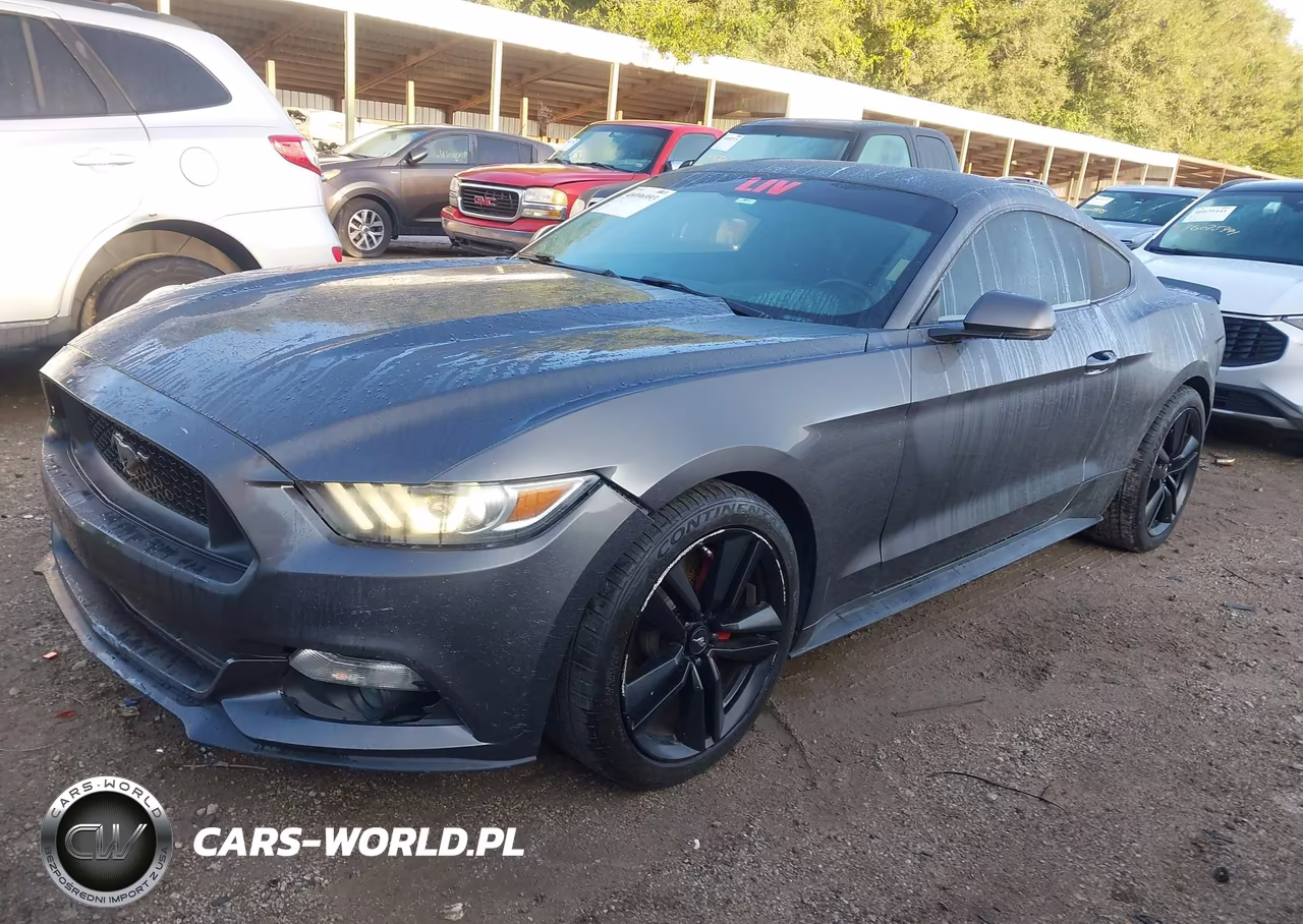 2015 Ford Mustang Ecoboost VIN:1FA6P8TH7F5382762 - 2