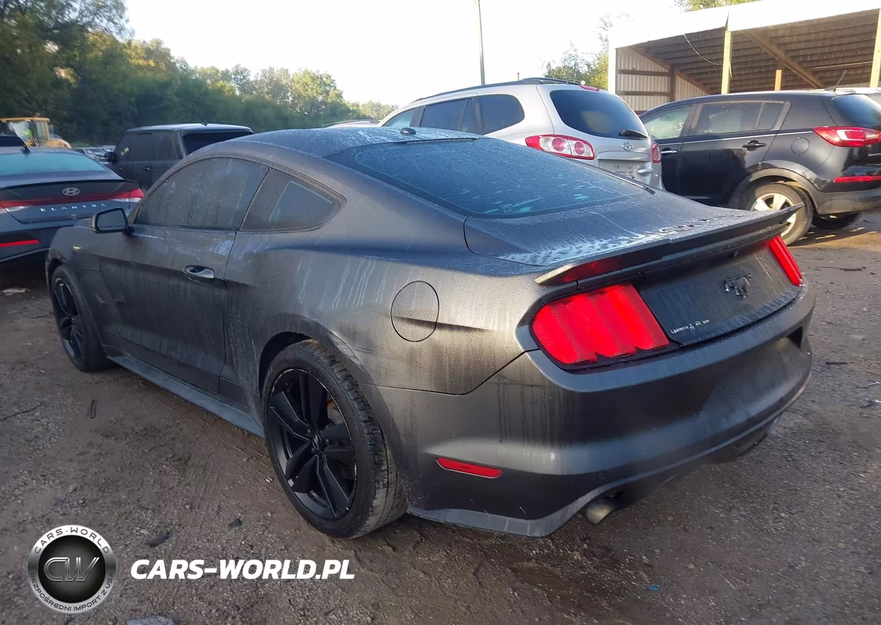 2015 Ford Mustang Ecoboost VIN:1FA6P8TH7F5382762 - 3