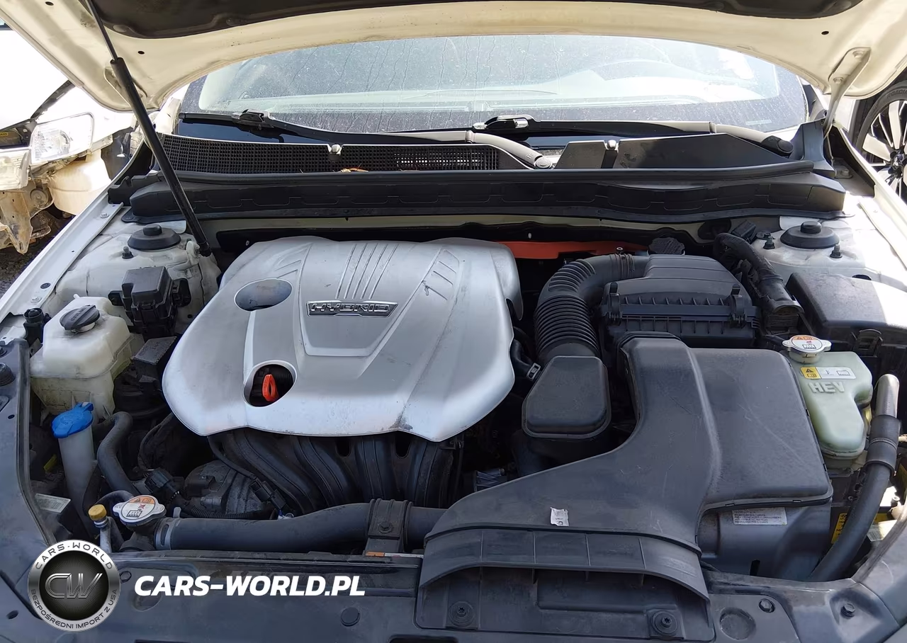 2015 Kia Optima Hybrid Ex VIN:KNAGN4AD4F5089296 - 10
