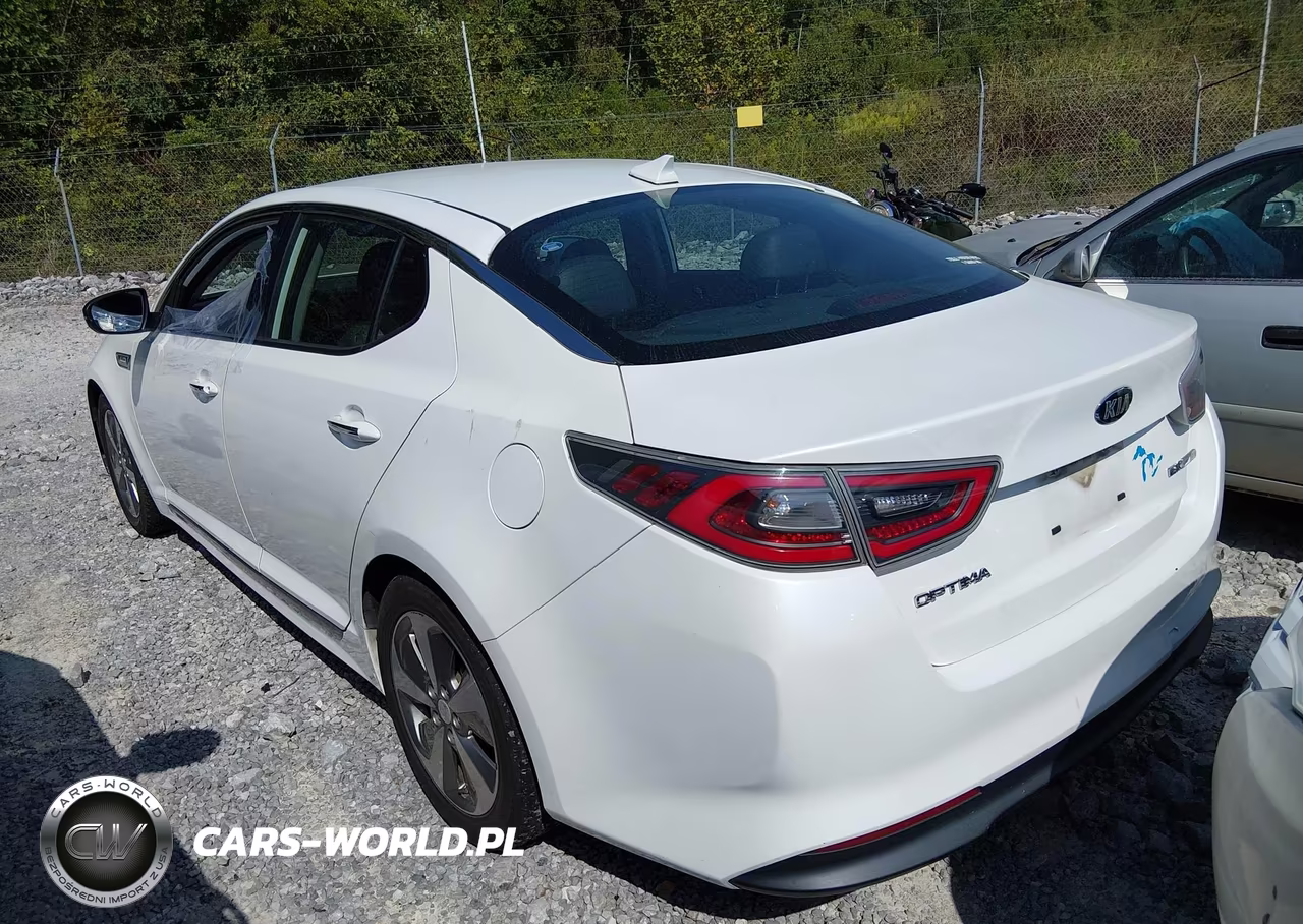 2015 Kia Optima Hybrid Ex VIN:KNAGN4AD4F5089296 - 3