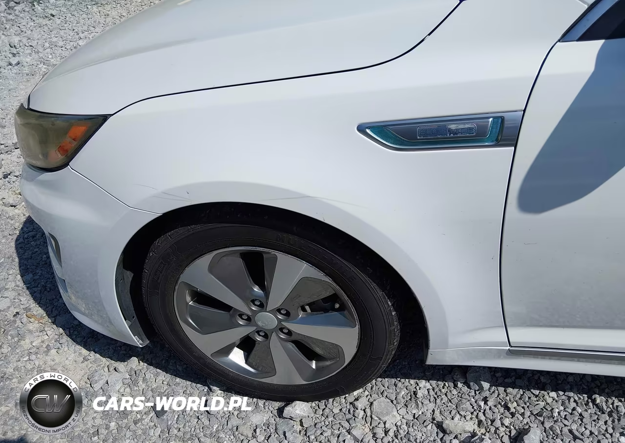 2015 Kia Optima Hybrid Ex VIN:KNAGN4AD4F5089296 - 6