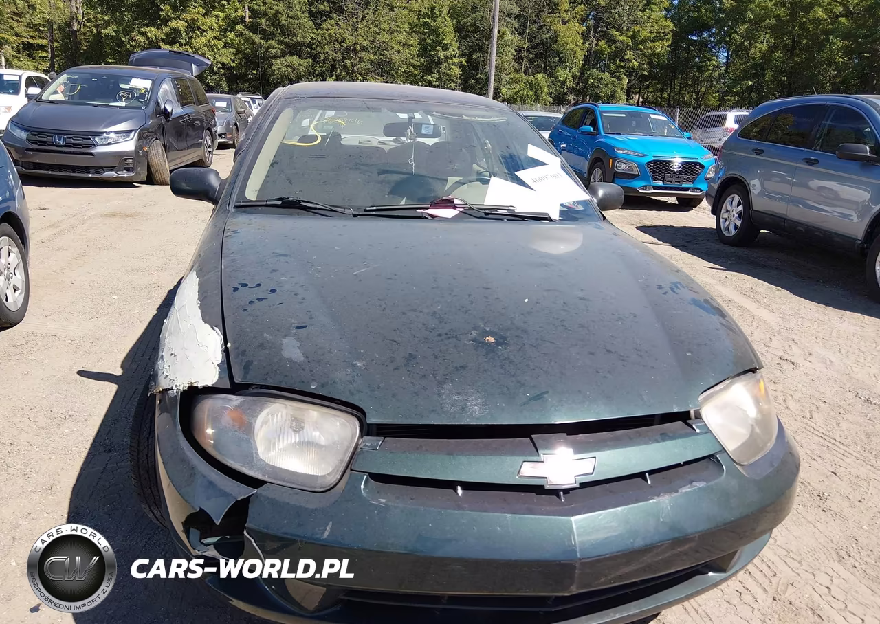 2004 Chevrolet Cavalier Ls VIN:1G1JF52F347318055 - 10