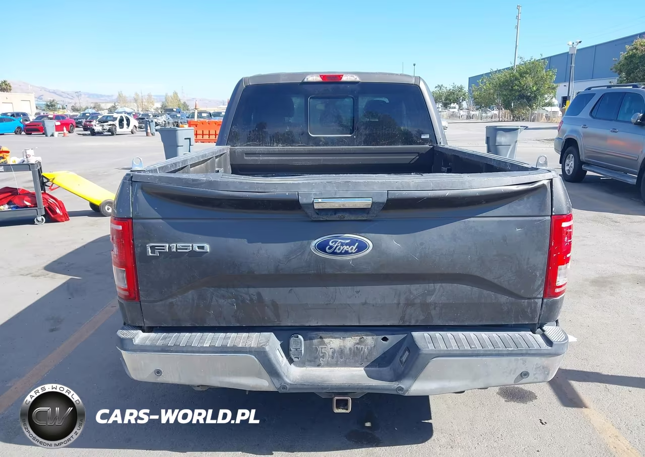 2015 Ford F-150 Xlt VIN:1FTEX1CP1FKE22498 - 17
