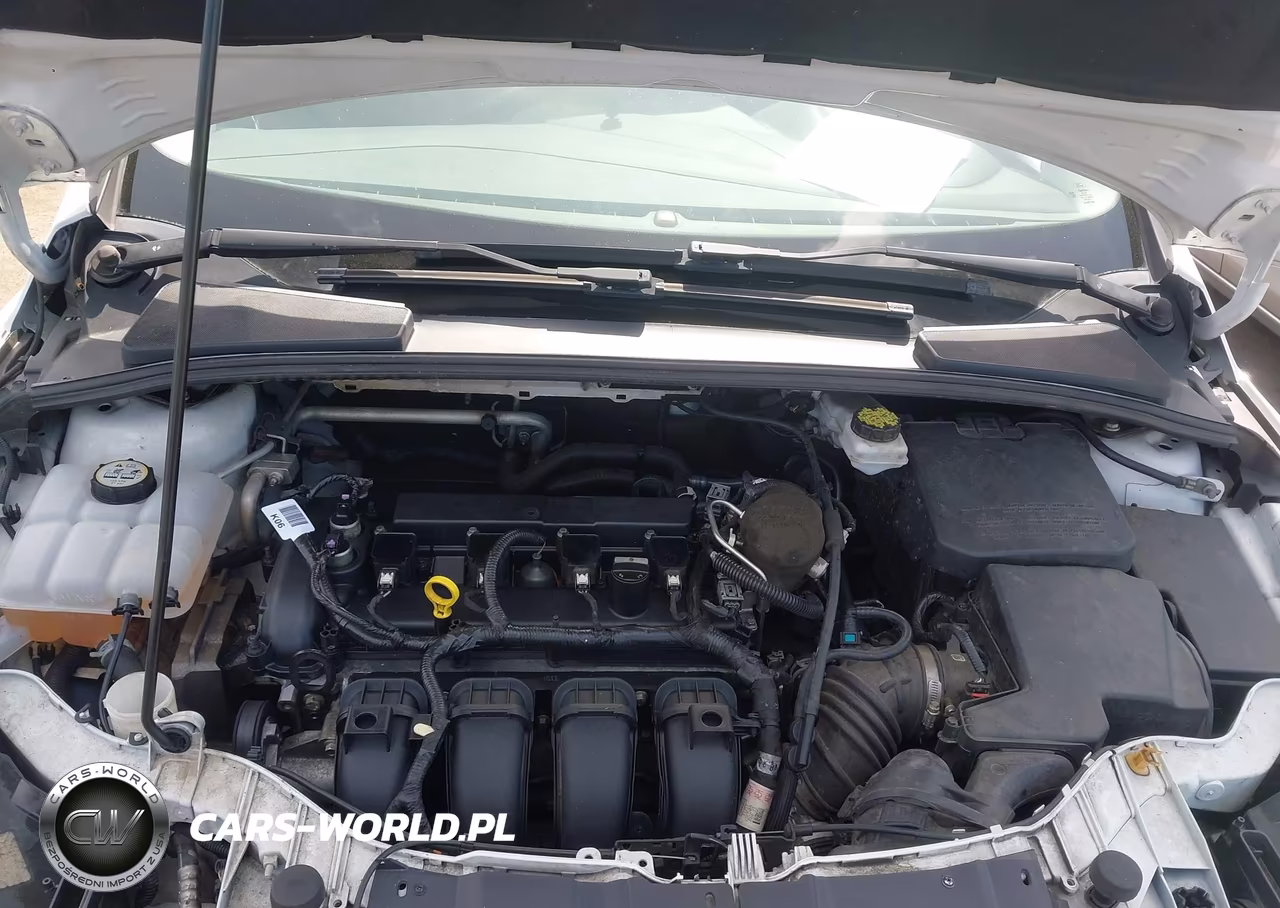 2016 Ford Focus Se VIN:1FADP3F28GL264573 - 10