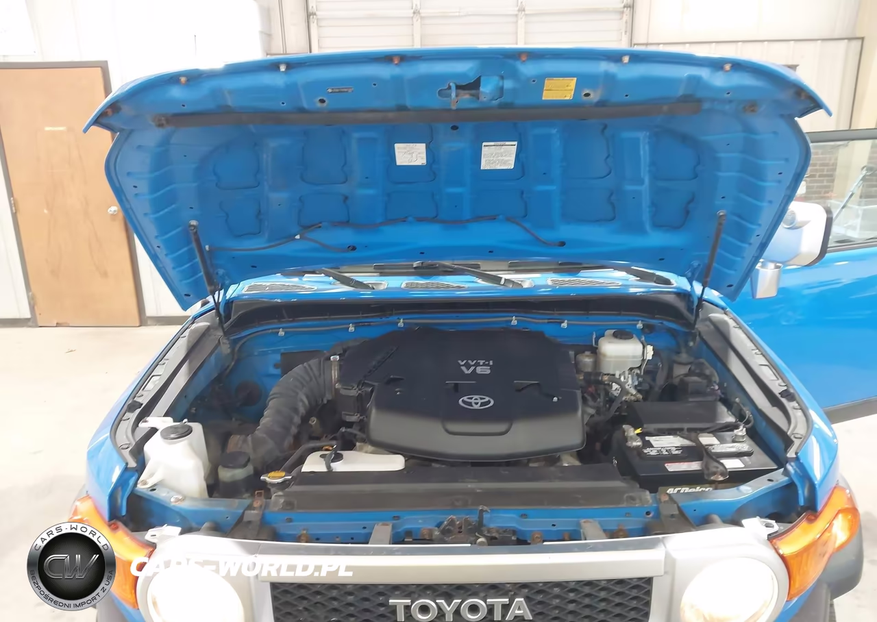 2007 Toyota Fj Cruiser VIN:JTEBU11F870022209 - 10