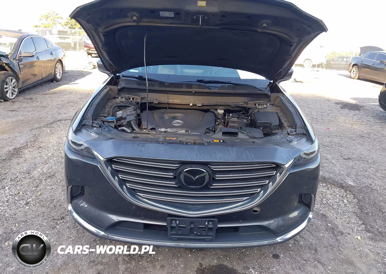 2018 Mazda Cx-9 Grand Touring VIN:JM3TCBDY0J0215032 - 10
