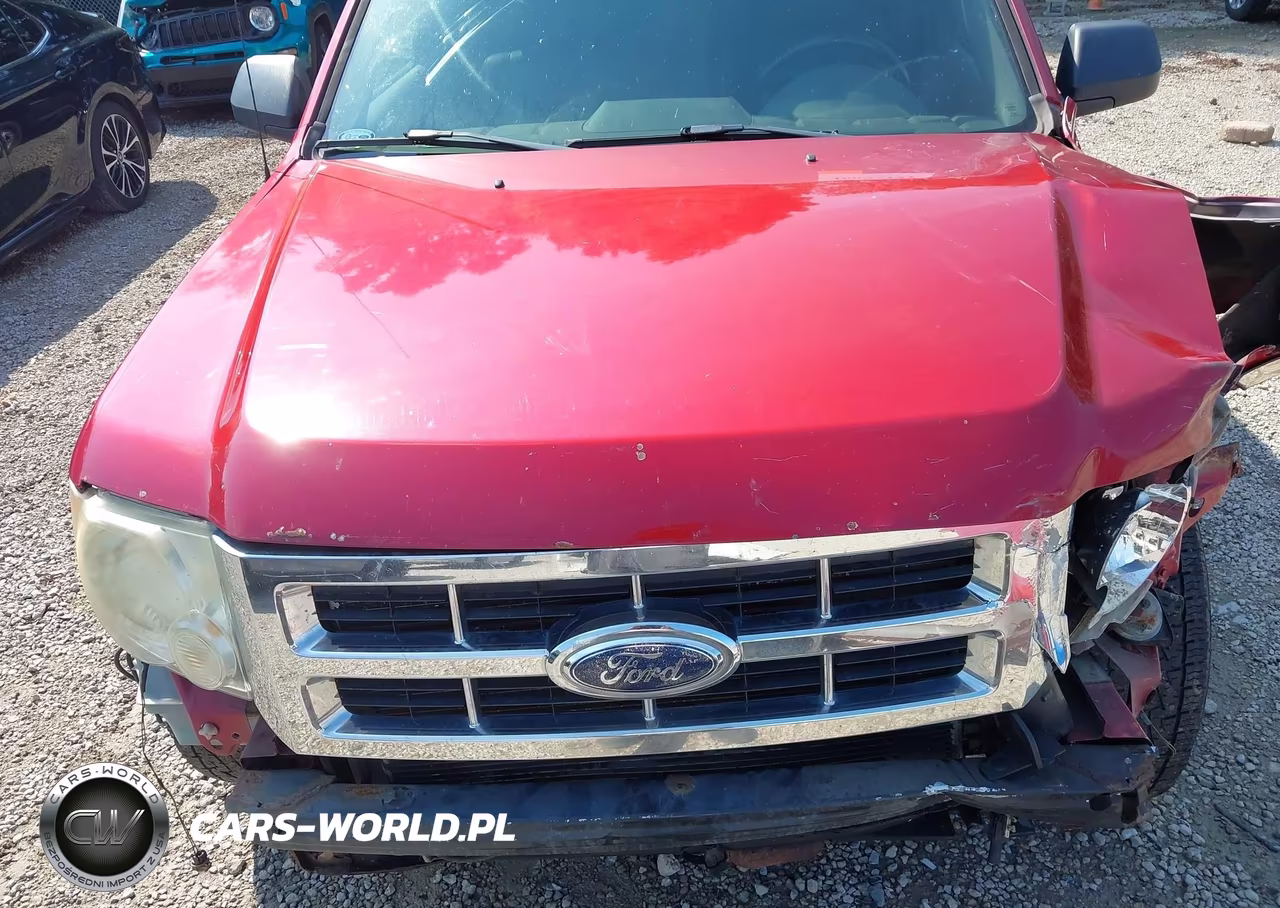 2009 Ford Escape Xlt VIN:1FMCU03G79KA31365 - 10