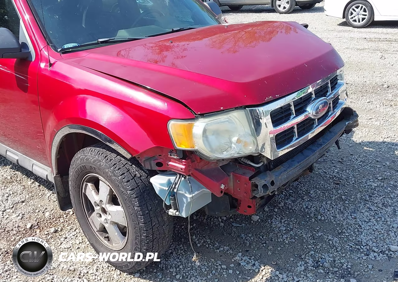 2009 Ford Escape Xlt VIN:1FMCU03G79KA31365 - 19