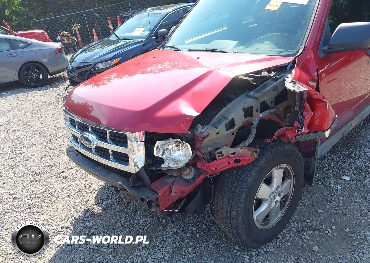 2009 Ford Escape Xlt VIN:1FMCU03G79KA31365 - 6