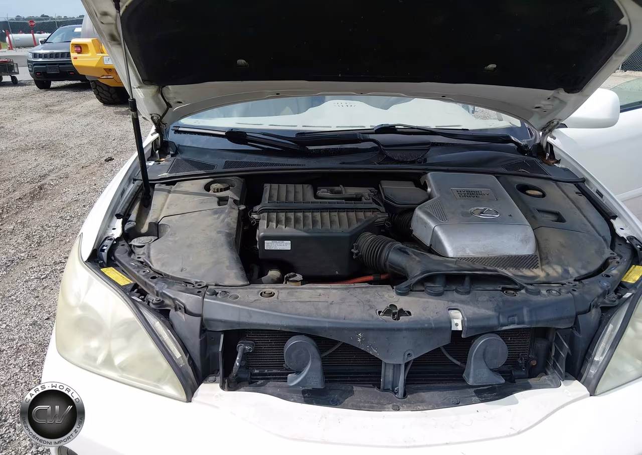 2006 Lexus Rx 400H VIN:JTJGW31U260003570 - 10