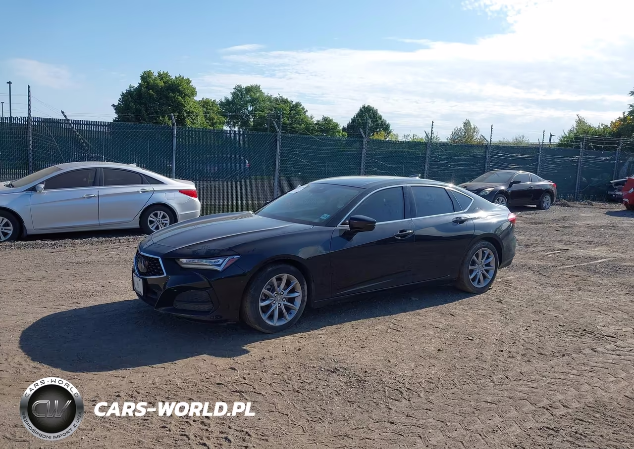 2023 Acura Tlx Standard VIN:19UUB5F34PA006495 - 2