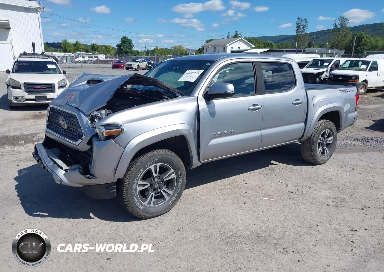 2019 Toyota Tacoma Trd Sport VIN:3TMAZ5CN5KM098862 - 2