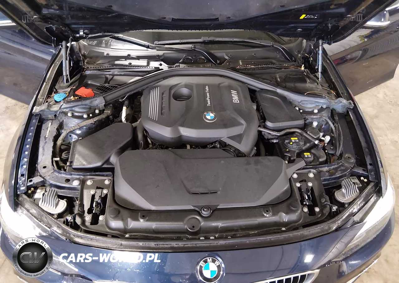 2018 BMW 430I Gran Coupe xDrive VIN:WBA4J3C59JBG96192 - 10