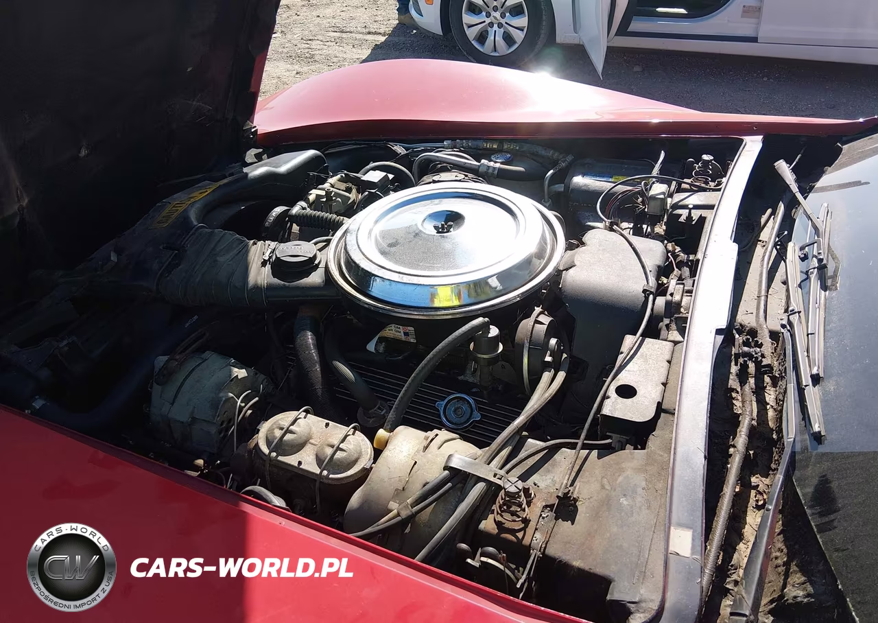 1981 Chevrolet Corvette VIN:1G1AY8766BS417631 - 10